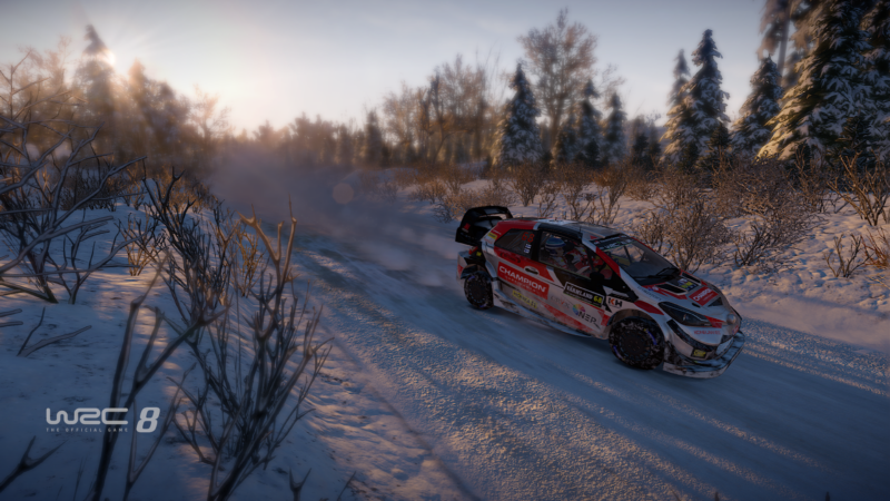 Rally Sweden